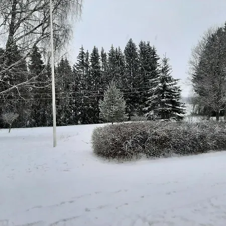 Maalaistalon Paeaerakennuksessa Asunto * 살로